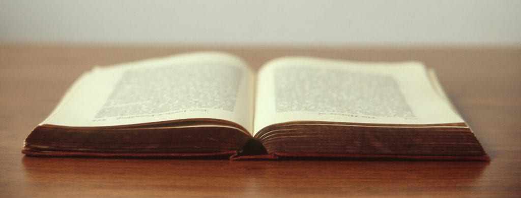 Book Review: The Likeness by Tana French