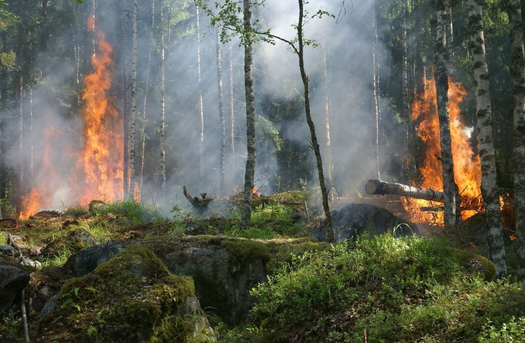 Wild Behavior: California's Wild Fire Season Proves Unpredictable